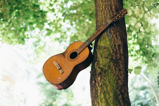 Sustainability in Custom Guitar Manufacturing The Green Tone