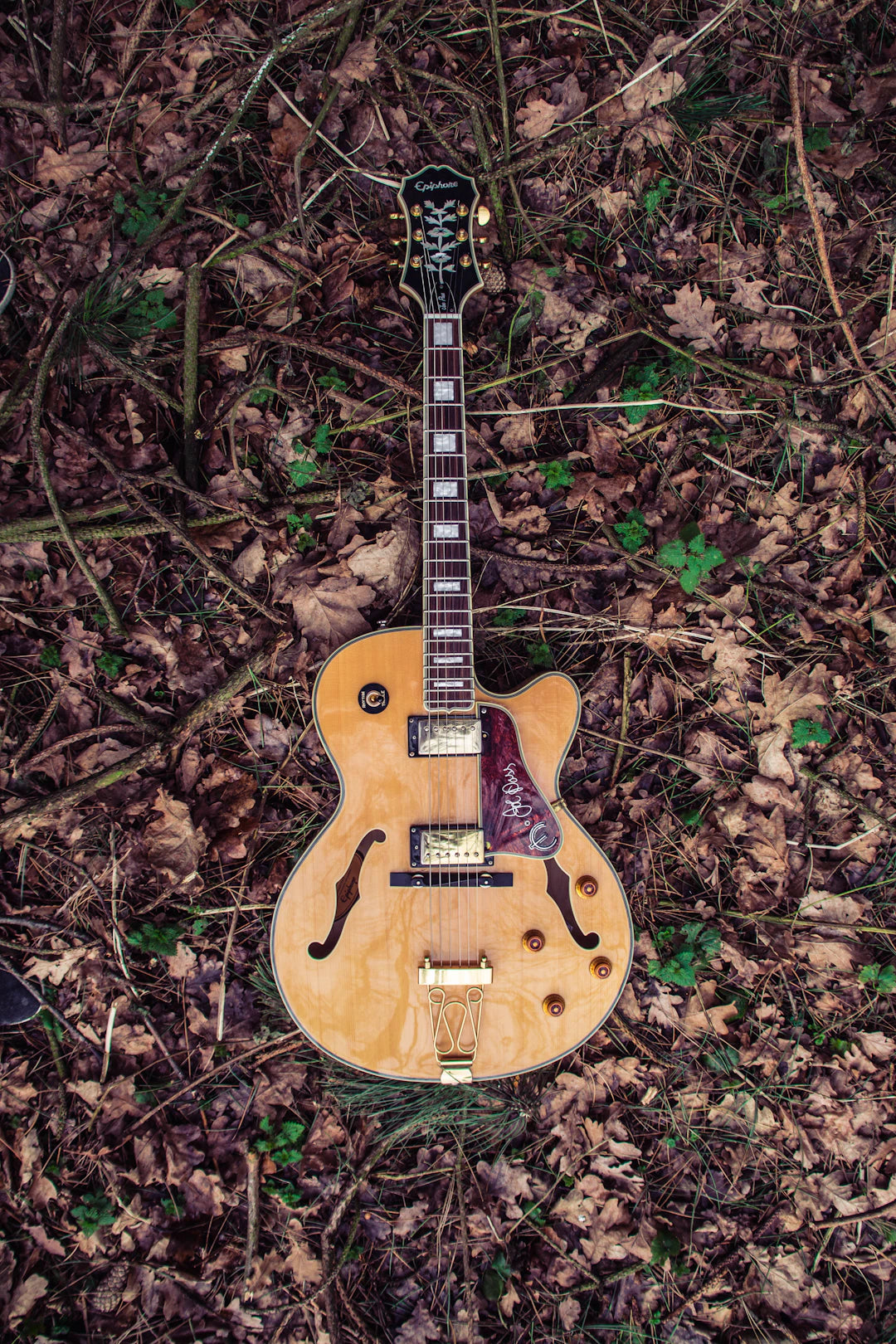 Identifying Common Guitar Issues A Guitarist's Guide