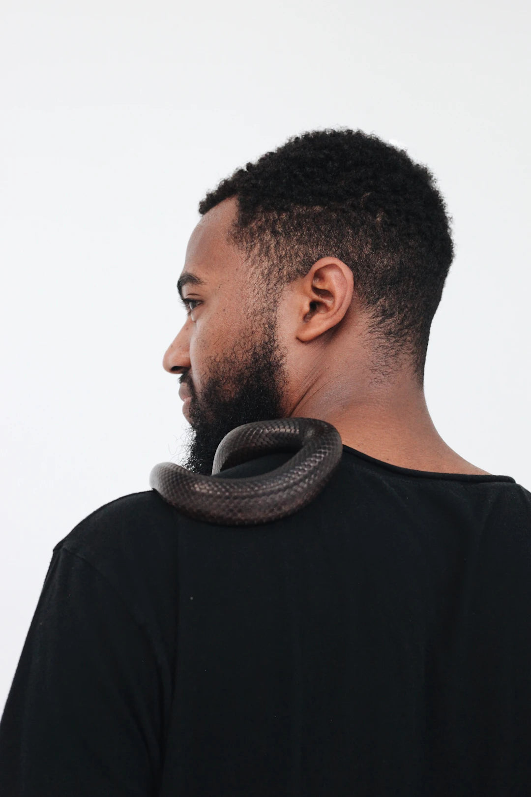 Exploring Neck Options for Odyssey Telecasters