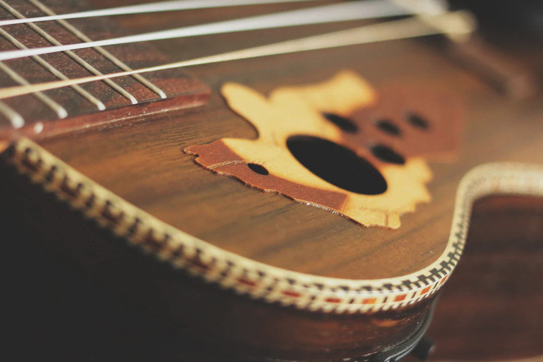 Semi-Hollow Guitars Crafted for Distinctive Sound and Style