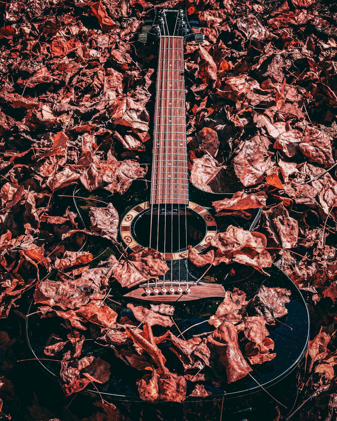 The Future Sounds Green Sustainability in Guitar Manufacturing