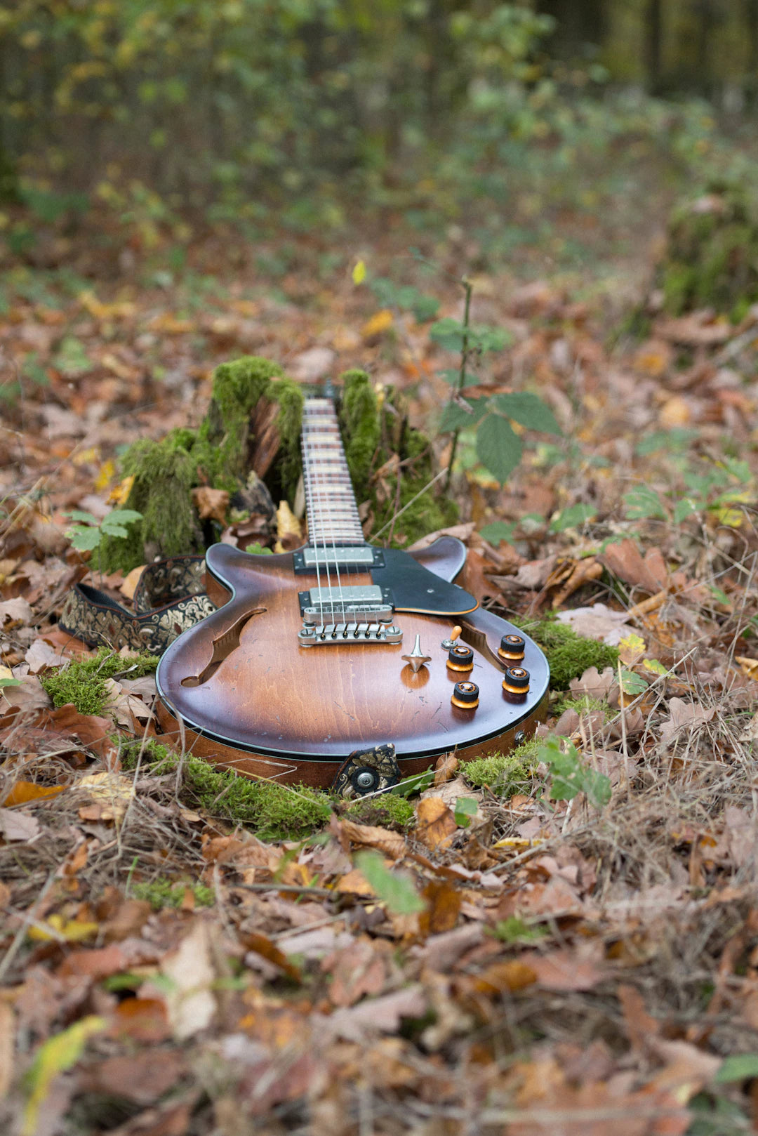 Sustainable Guitar Manufacturing Eco-Friendly Practices