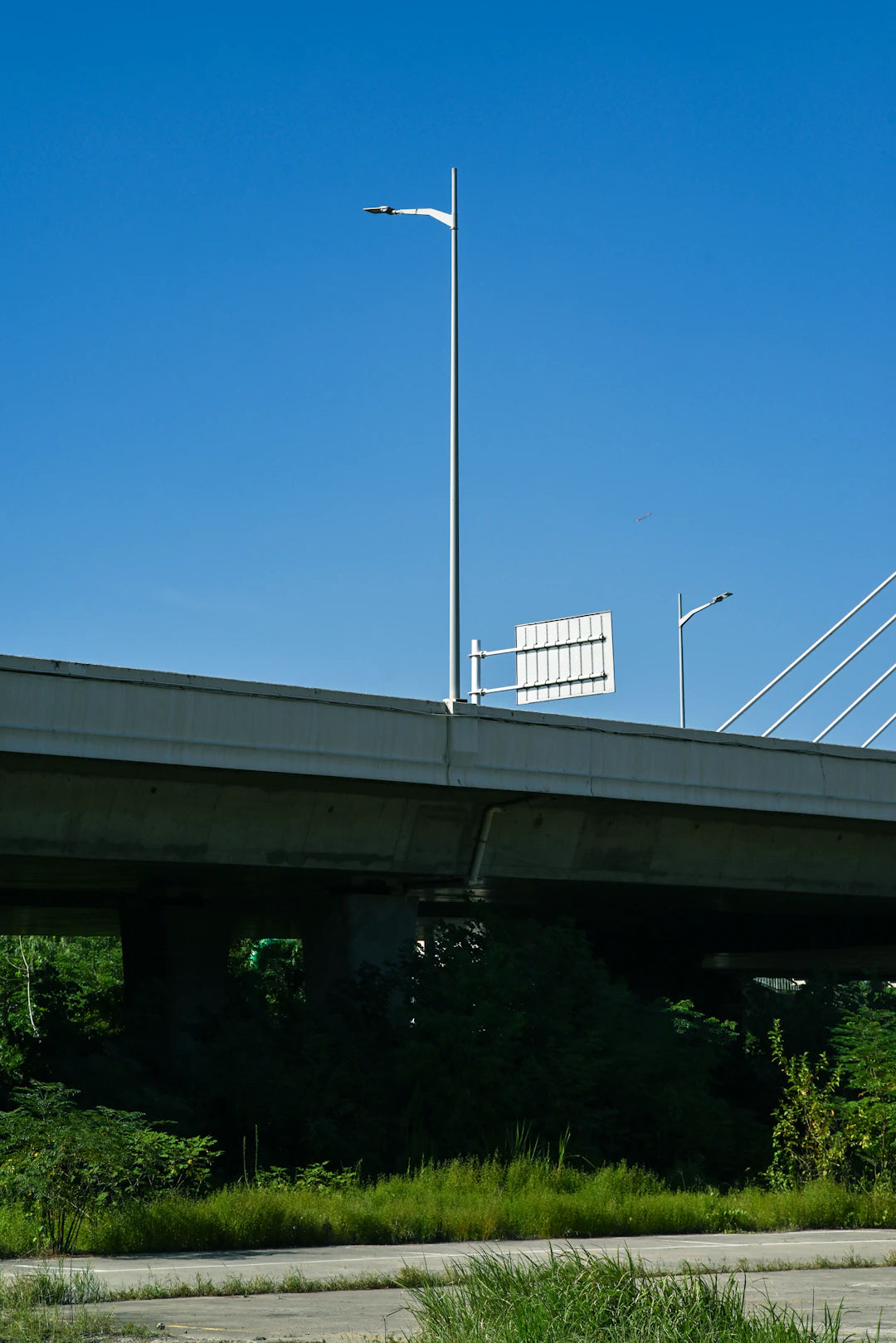 Bridge Choices for Odyssey Telecasters