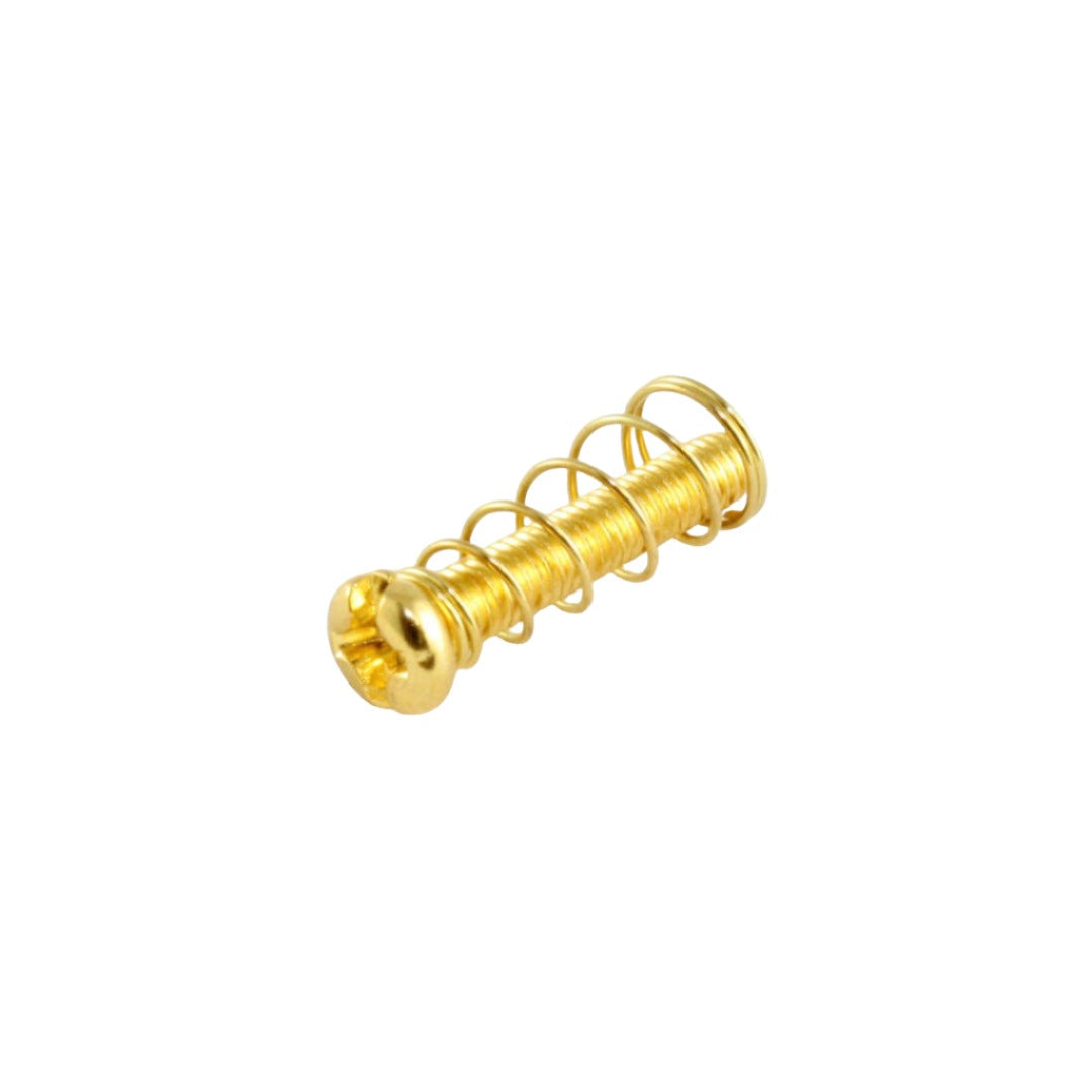 GS-3324 Metric Bridge Length Screws and Springs