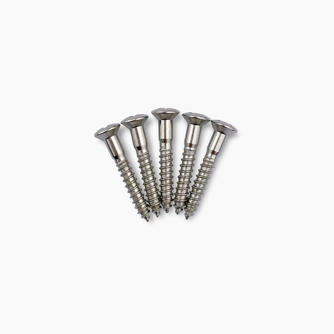 GS-3364 1-in. Bridge Mounting Screws