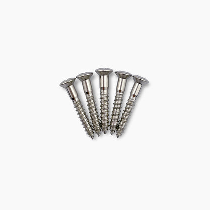 GS-3364 1-in. Bridge Mounting Screws