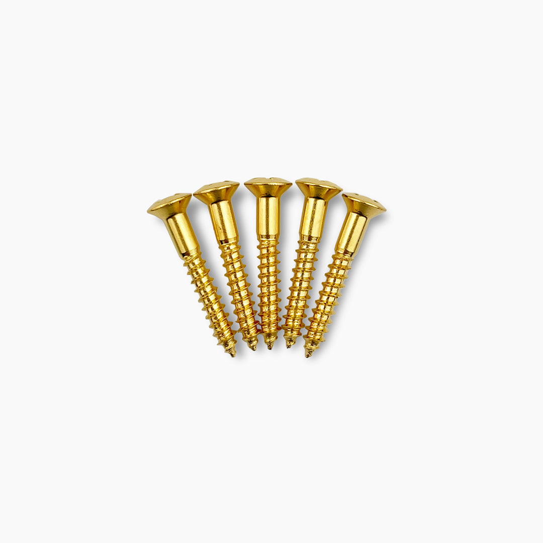 GS-3364 1-in. Bridge Mounting Screws